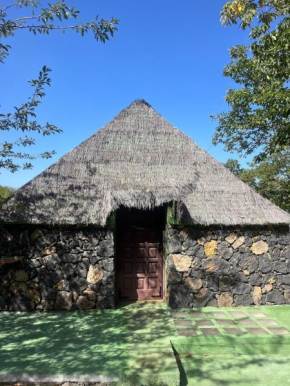 Finca de la montaña - cabaña